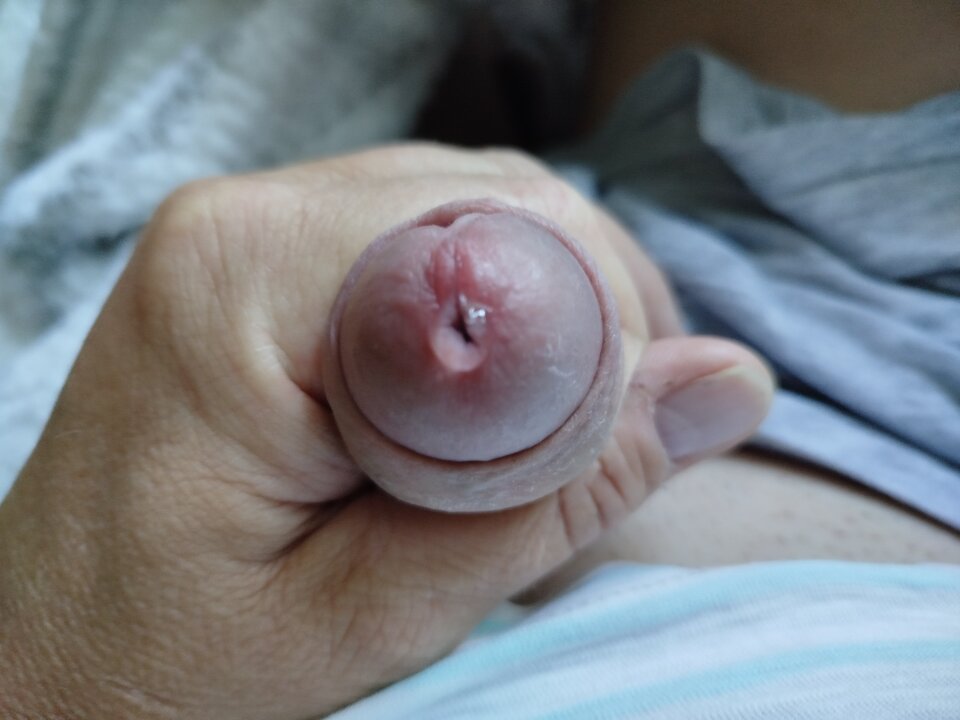 1000018021.jpg - Leonardo2301