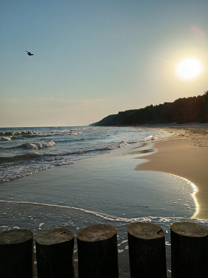 Dzień dobry miłego dnia - lulu01