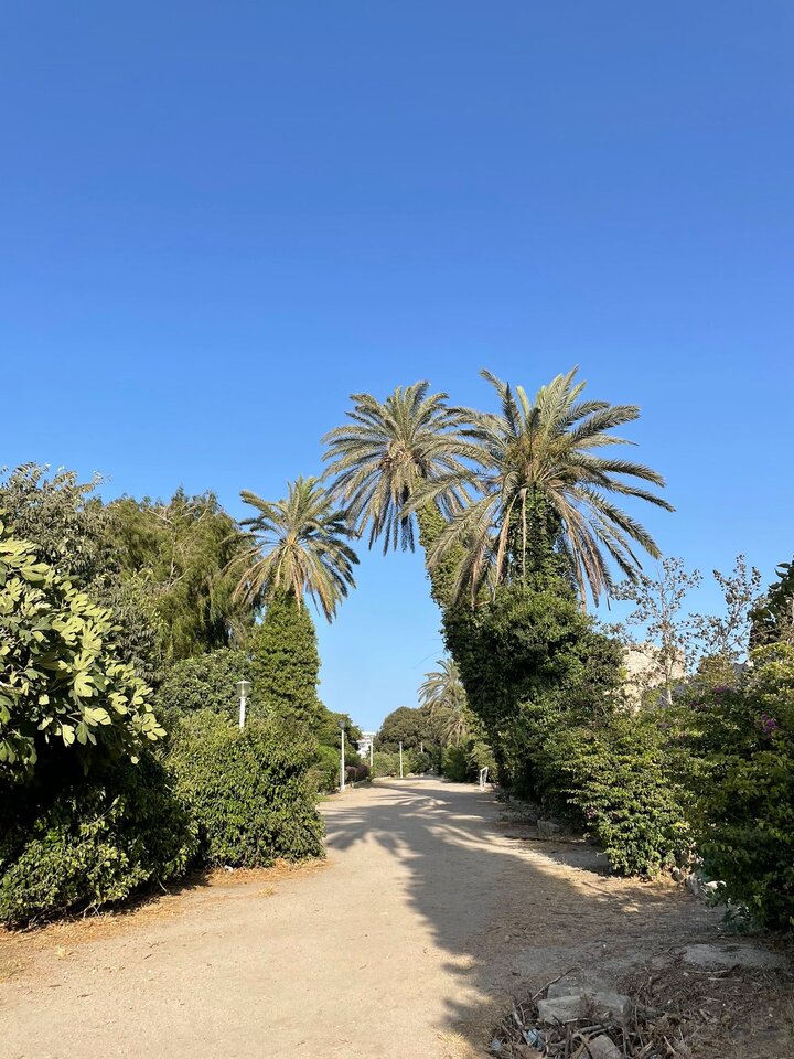 1000006414.jpg - Krzysk45