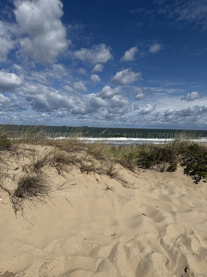 🏖️☀️ - Banan_Brzoskwinia