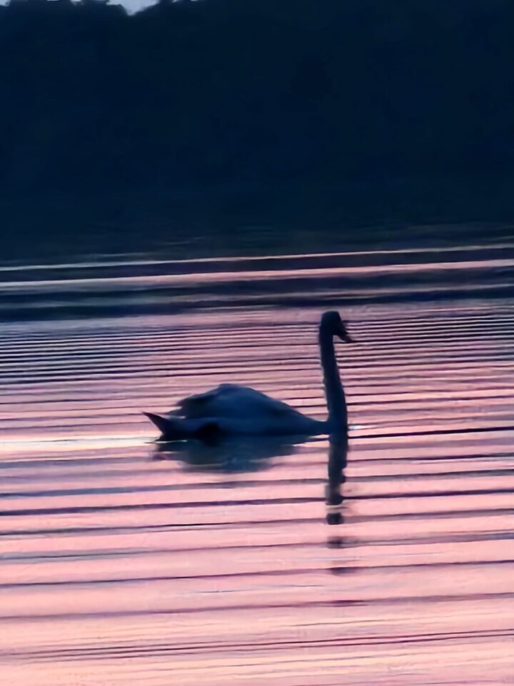 1000037853.jpg - XXXrentier