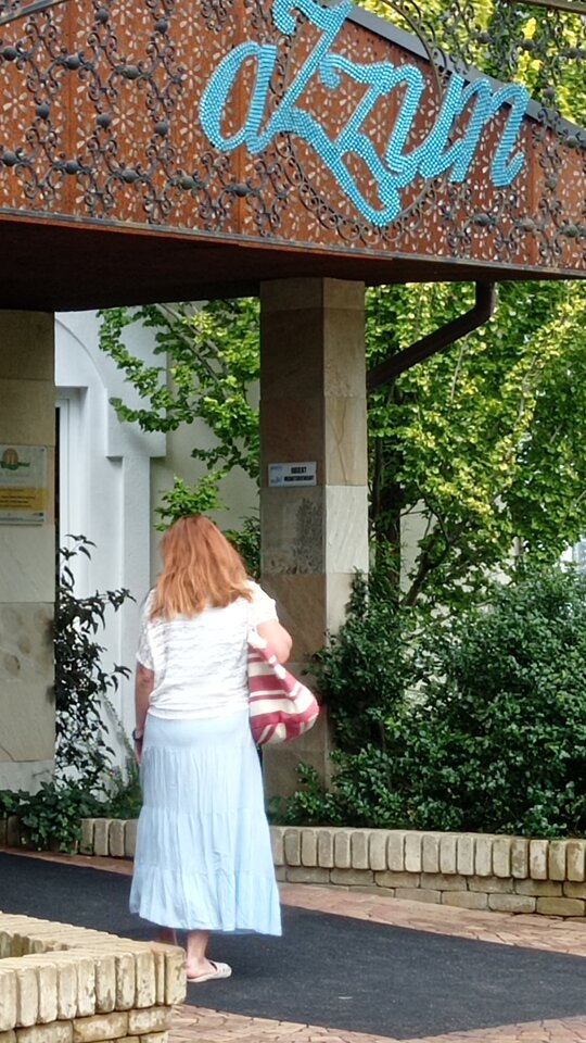 IMG_20250824_133910.jpg - onirazem1973