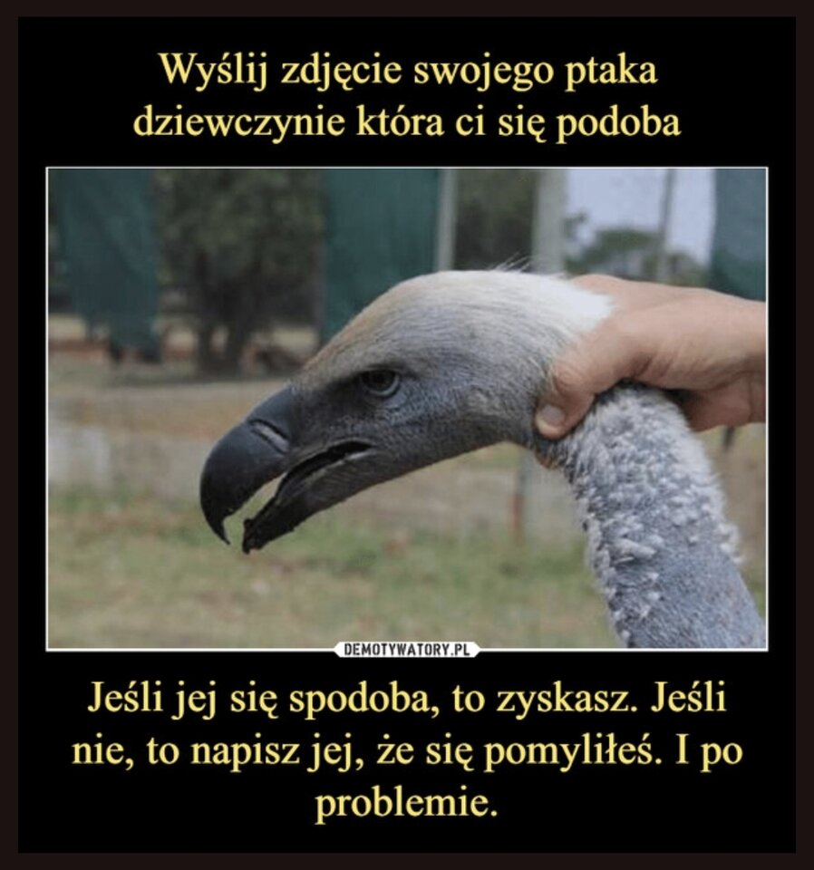 1000023720.jpg - aomen