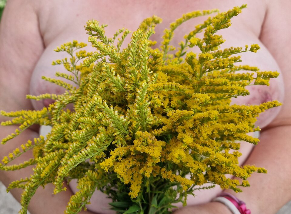 20250824_175133~2.jpg - OnaiOn8378