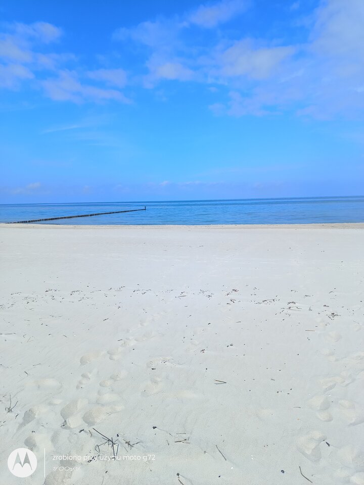 IMG_20250727_140816855.jpg - Sambo42