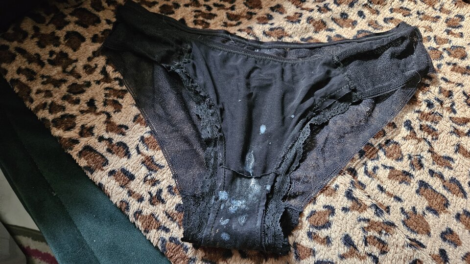 1000056251.jpg - wast79