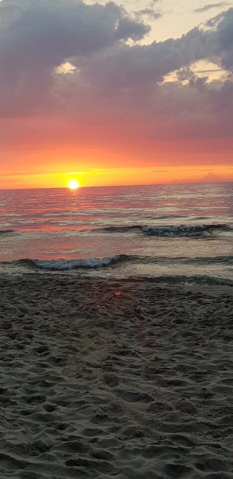 20230712_212436.jpg - harryraider