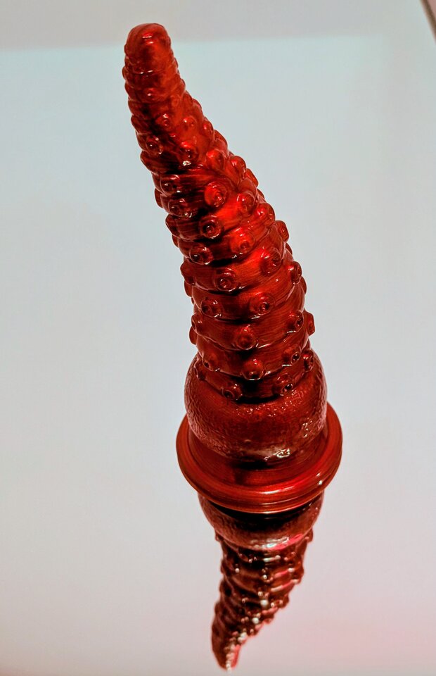 1000012174.jpg - edun