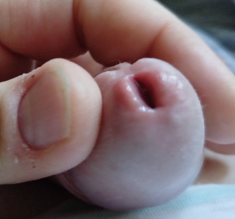 1000018057.jpg - Leonardo2301