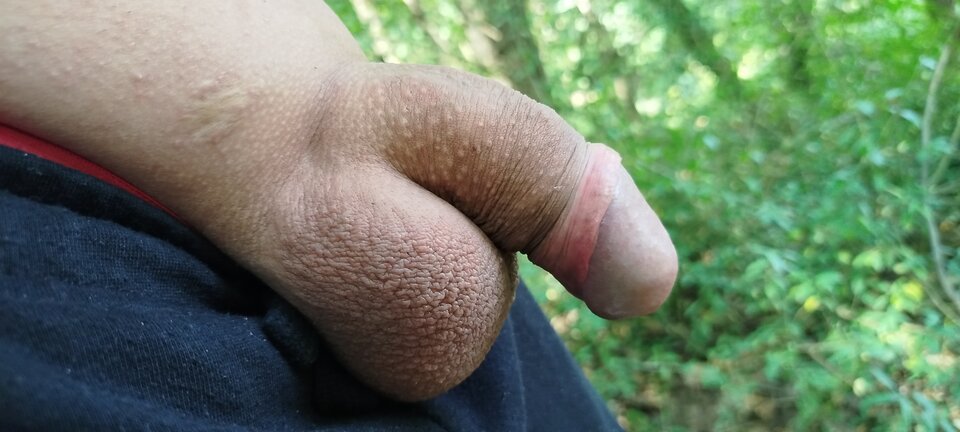 1000004501.jpg - Plenerkowy95