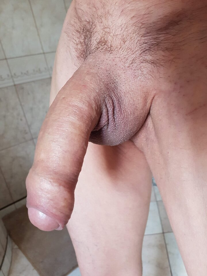 20250811_105813.jpg - Whitelittlecock