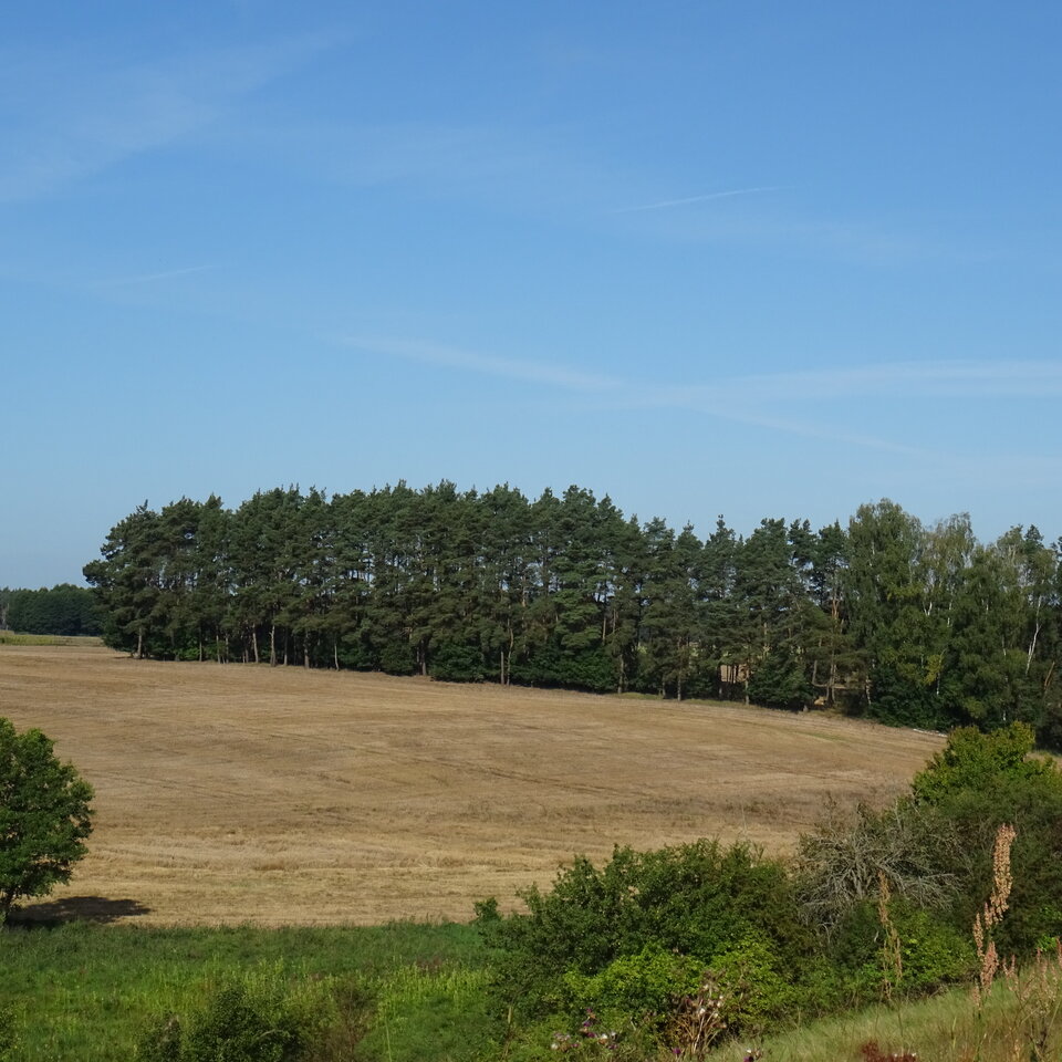 DSC04575.JPG - bojman8