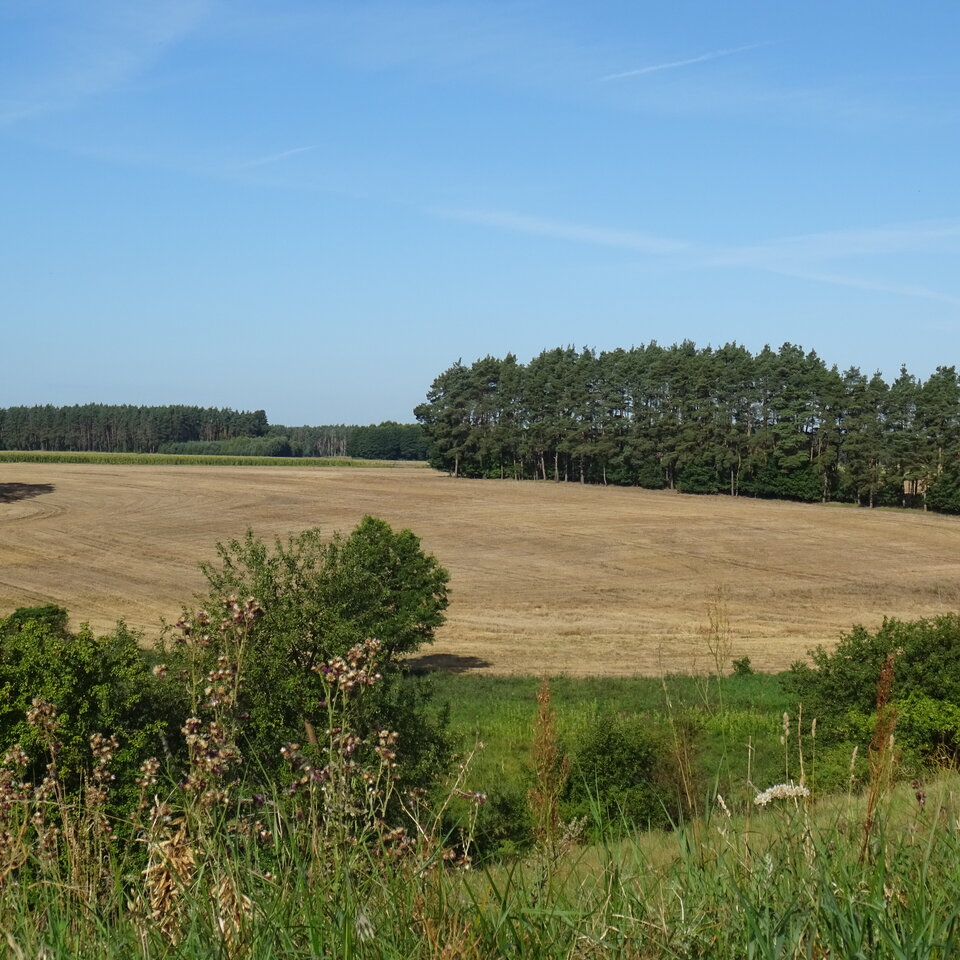 DSC04578.JPG - bojman8