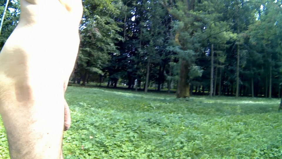 ROGOŹNIK - w parku 20250821_1419.mp4_snapshot_00.33_[2025.08.25 - Krzysztof_cfnm