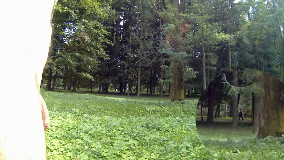 ROGOŹNIK - w parku 20250821_1419.mp4_snapshot_00.35_[2025.08.25 - Krzysztof_cfnm