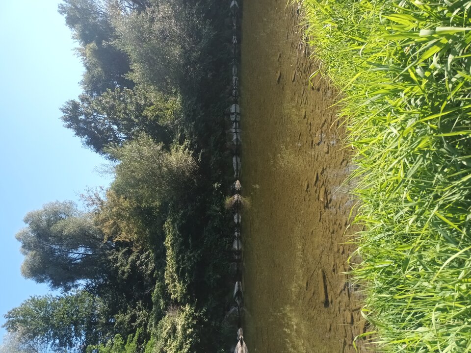 20250826_155122.jpg - Paula_trans