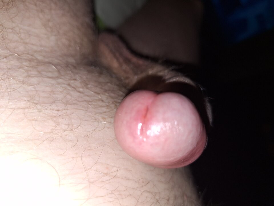 1000024606.jpg - Adamus_1976