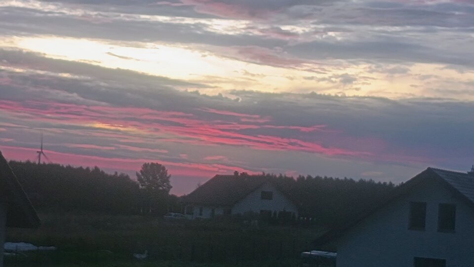 1000006636.jpg - Rozwodnik1978