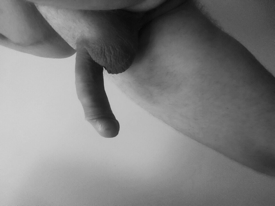 17562672693551525541275379727045.jpg - Giwera86