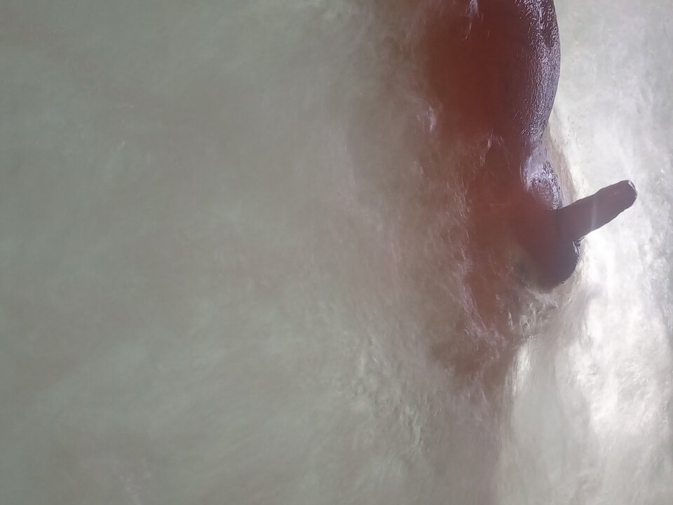 17562698486338282031169714689779.jpg - xxxzkp