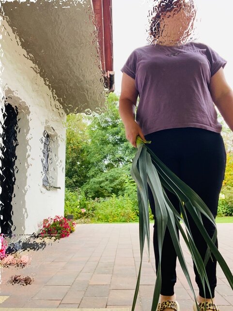 IMG_7087.jpeg - May_Day