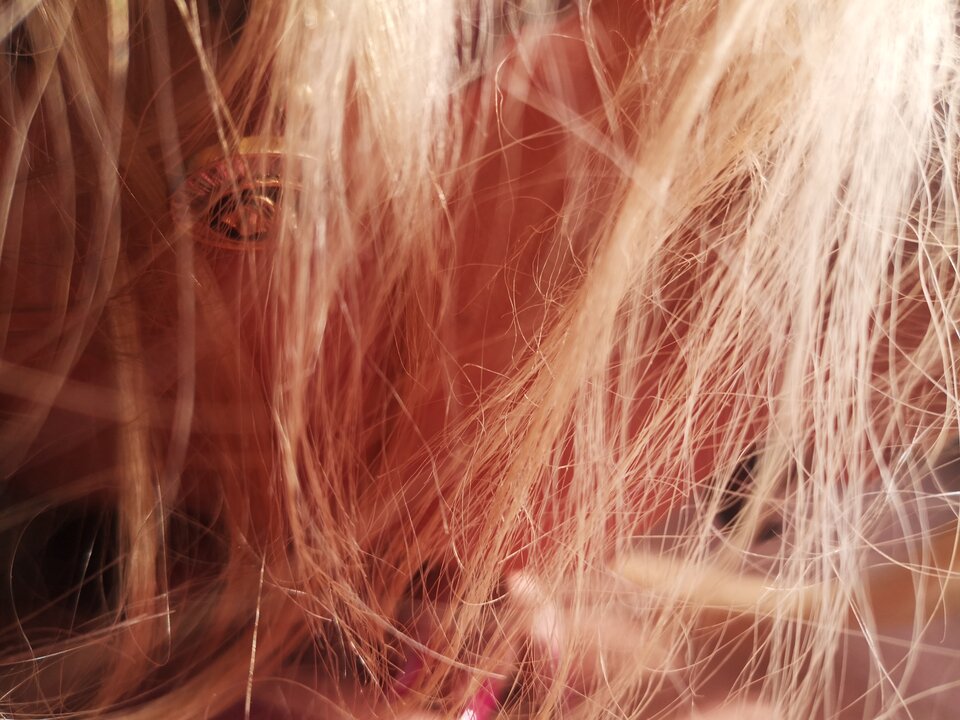 IMG_20250827_111316.jpg - Locks12