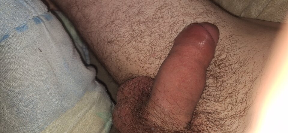 1000013963.jpg - Kocurekimyszka8892