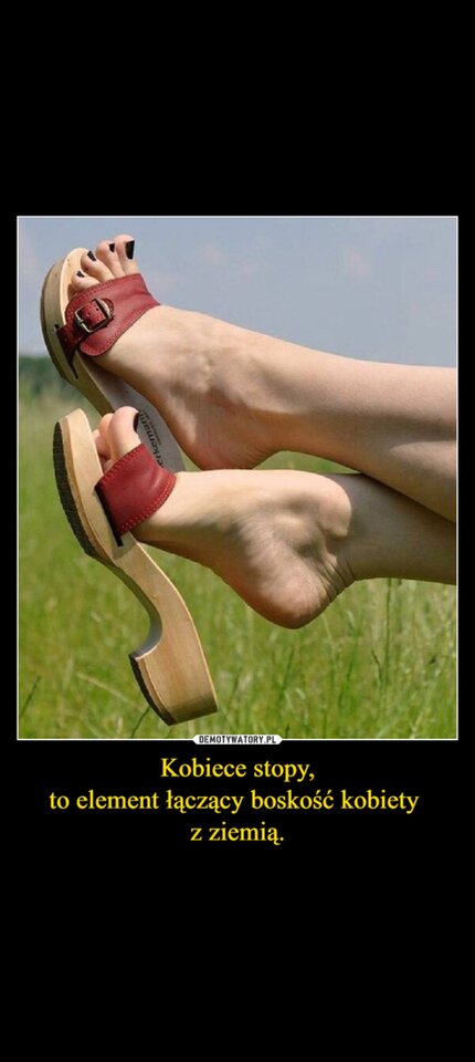 Screenshot_2025-08-28-03-45-16-95_0b2fce7a16bf2b728d6ffa28c8d60e - Uroczyfemboy27