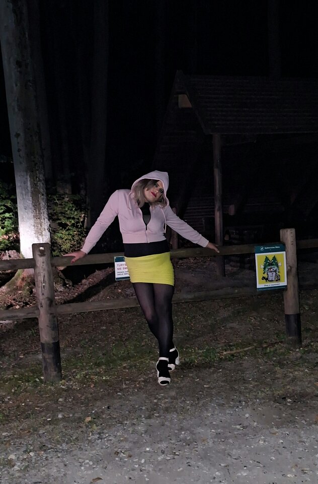 11950.jpg - NinaTransCD