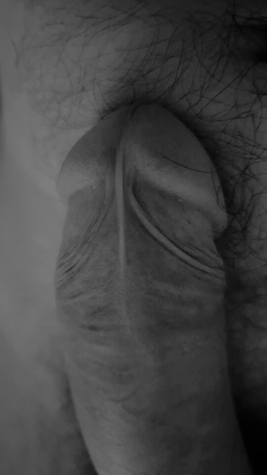 1000025754.jpg - Perdi9