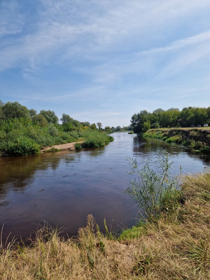 1000013303.jpg - hotka_i_misiek