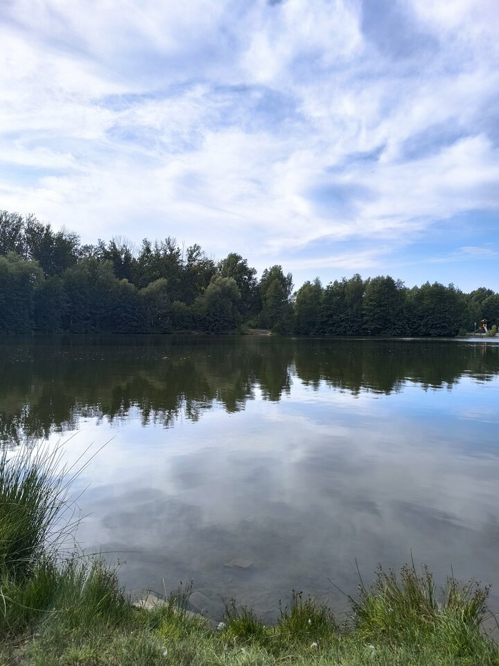 1000003867.jpg - Mdick20