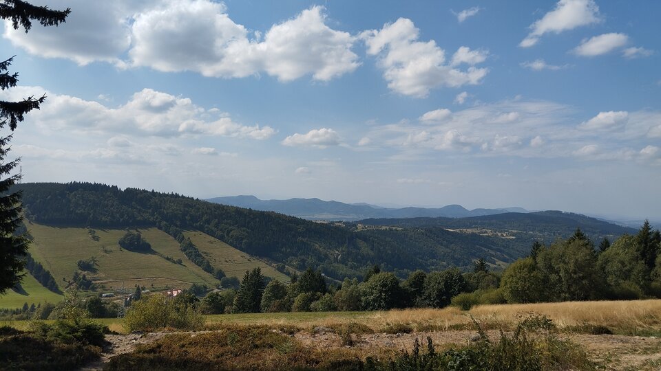 1000022244.jpg - Operator_odkurzacza