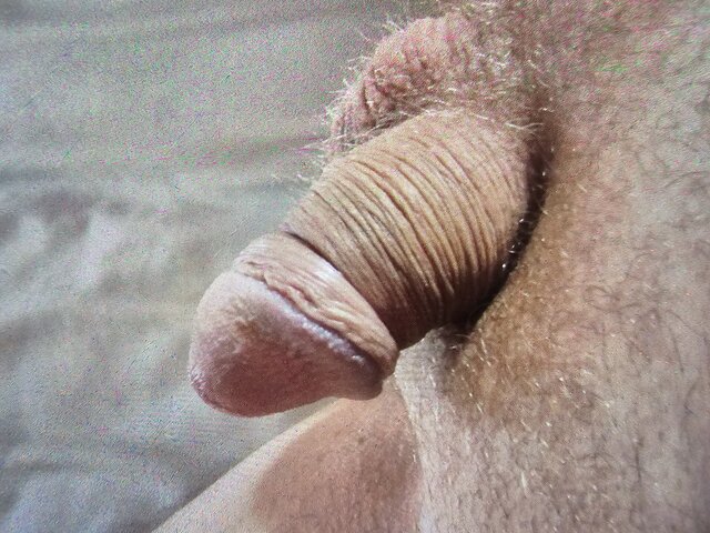 PuszczalskaiRogacz66