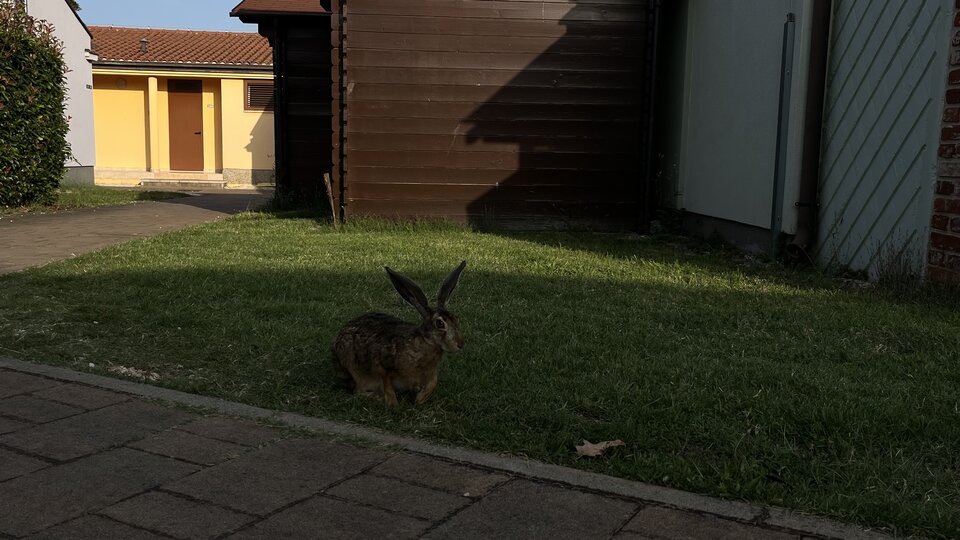 Valalta nie tylko dla ludzi..jpeg - Wicki74