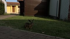 Valalta nie tylko dla ludzi..jpeg