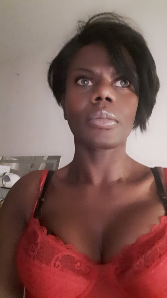 Snapchat-991404741.jpg - OniJegoTrans