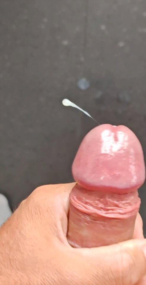 1000016519.jpg - Luimen