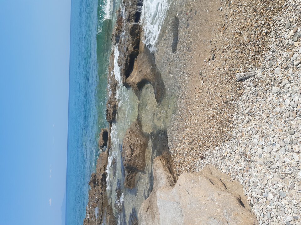 20250807_151416.jpg - parkazbemowa