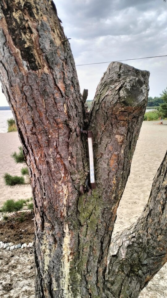 IMG20250829103555.jpg - josef1975