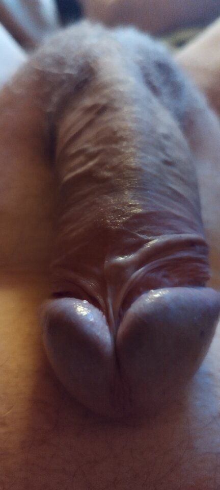 IMG_20250828_233724.jpg - Pio20980