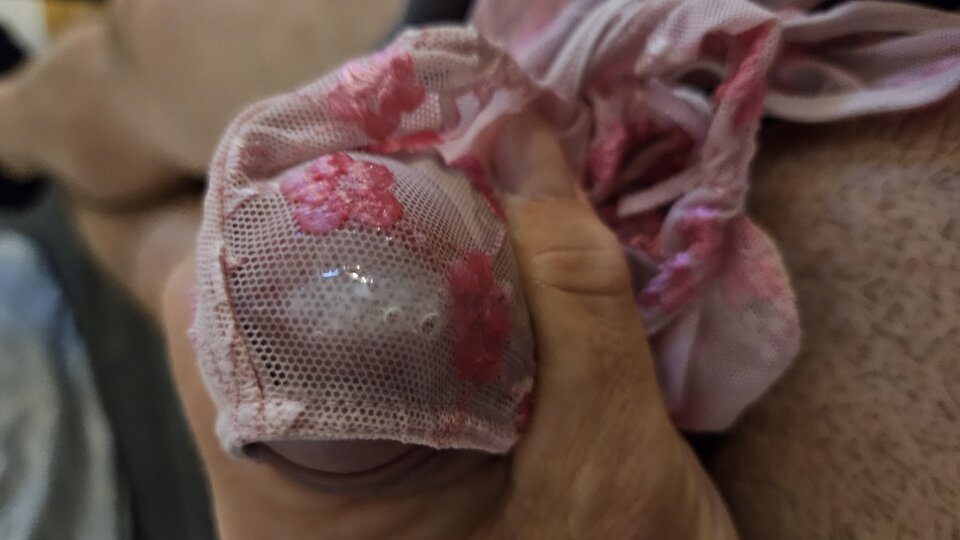 1000056866.jpg - wast79