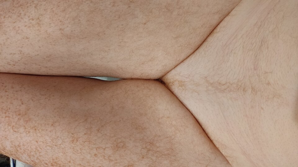 1000047306.jpg - tygrysekl