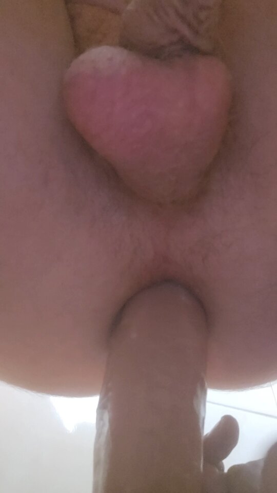 1000141138.jpg - Przyjmujacy