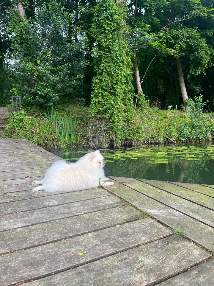 1000000100.jpg - Dariusz43ds