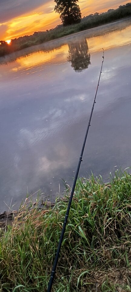 1000001865.jpg - maxsii990