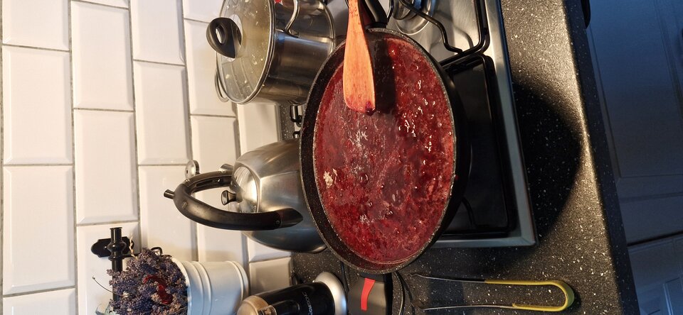 Powidełka smaże mniam  - gutek1234