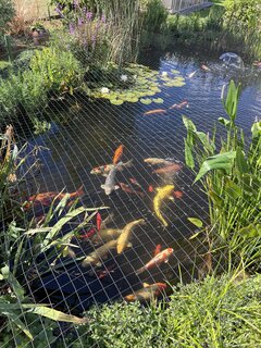 IMG_6387.jpeg