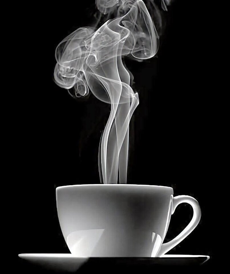 1000035580.jpg - Pronarrki