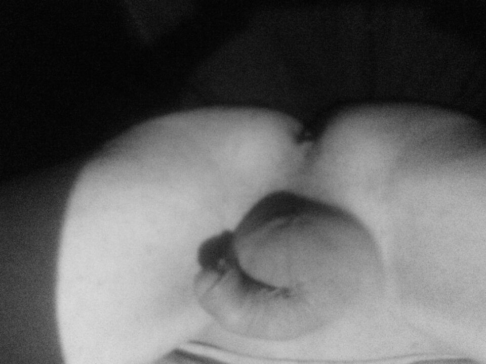 1756635341837-1382537332.jpg - 77lucek